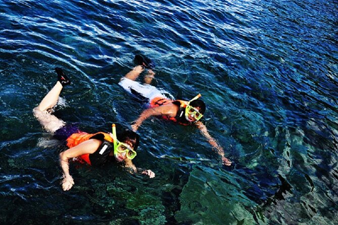 Dumaguete Apo Island Snorkeling Tour - Tour Highlights