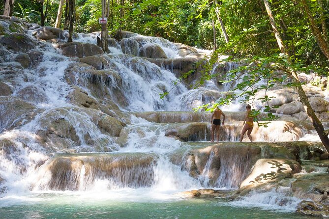 Dunns River Falls and Shopping Tour From Montego Bay - Tour Overview and Logistics