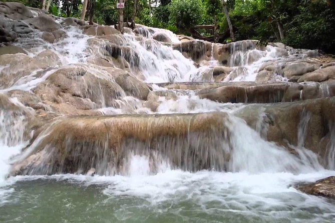 Dunns River Falls Tour From Lucea - Tour Inclusions