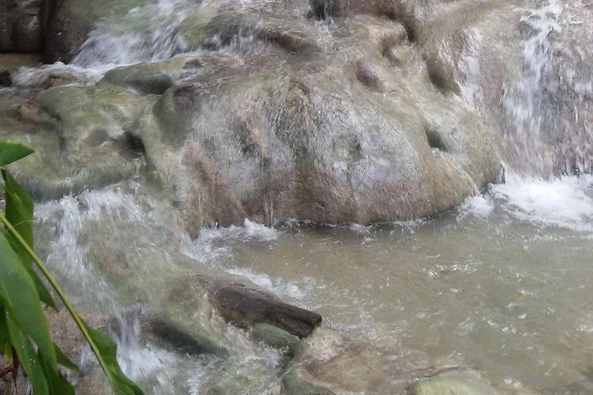 Dunns River To Turtle Falls and Park From Ocho Rios - Tour Overview