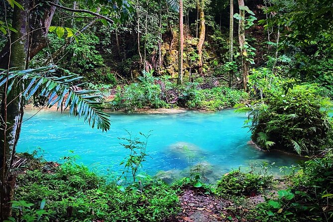 Dunns River Tour - Booking Information