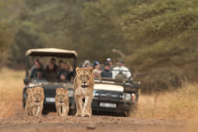 Durban: Go on Safari at 2 Game Reserves (Hluhluwe-Imfolozi) Pro Zeiss Binoculars - Overview and Itinerary