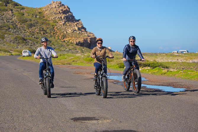 E-Bike Cape Peninsula Tour - Pricing and Guarantee