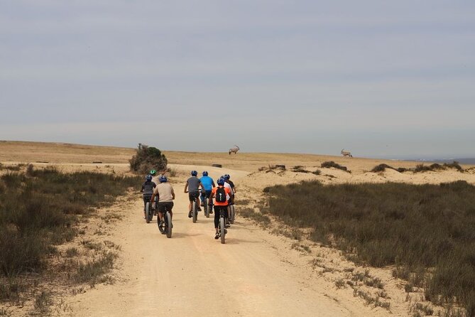 E-Bike Safari West Coast Full Day Tour in Cape Town - Pricing and Booking Details