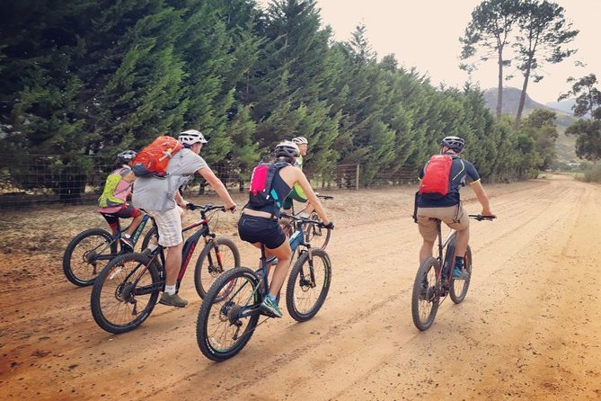 E-Bike Stellenbosch to Franschhoek - E-Bike Adventure in Cape Winelands