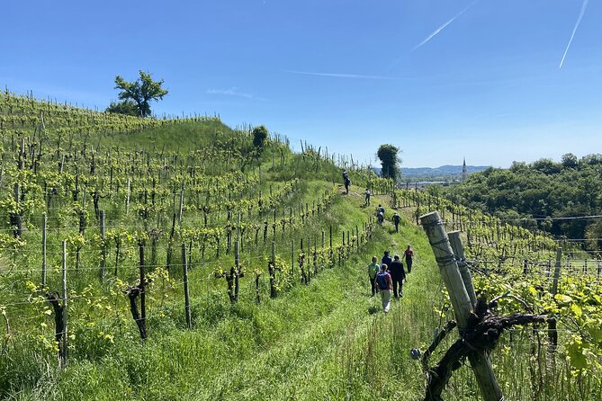 E-Bike Tour in Valdobbiadene With Wine Tasting and Typical Food - Tour Overview
