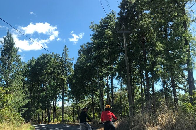 E-Bike Tour: La Estrella Lake Adventure Awaits - Booking Information
