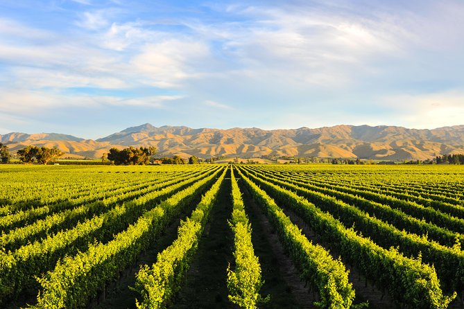 E-Bike Wine Route Full Day Tour in Cape Town - Pricing and Booking