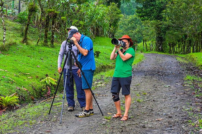 Early Bird Watching Tour - Guanacaste - Tour Overview