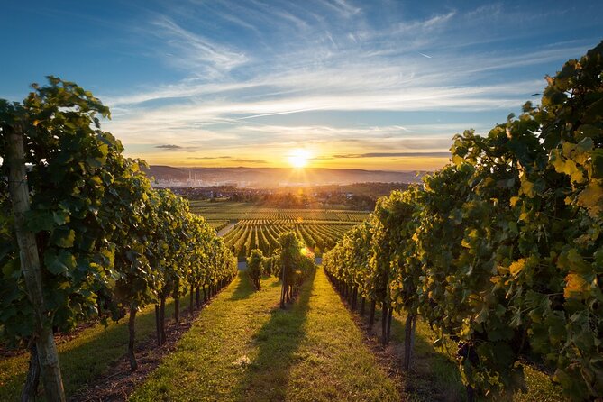East Kelowna Wine Tour From Vernon - Classic - 6 Wineries - Tour Itinerary