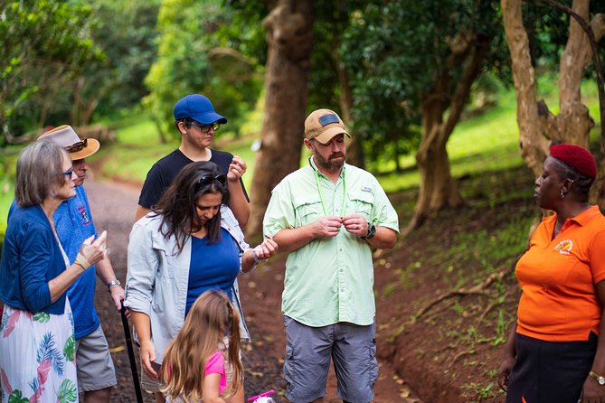 Eastern Tours/ Mt. Carmel Falls / Laura Spice Tour / Clarkes Court Distillery - Tour Overview and Details
