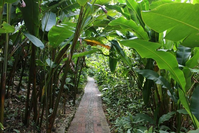 Easy Hike With Relaxing Garden Tour and Delicious Lunch - Overview of the Easy Hike