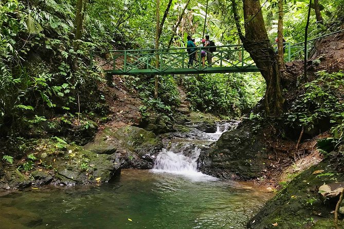 Ebano Waterfalls and Rainforest Safari Tour - Tour Pricing and Booking Details