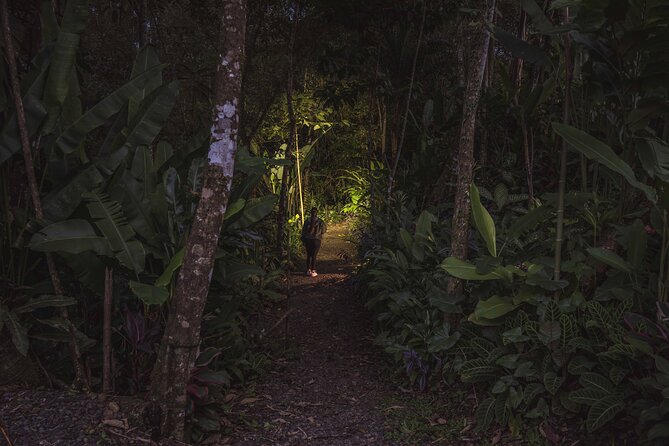 Ecogarden Arenal Night Walk - Ecogarden Arenal Night Walk Details