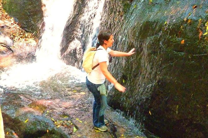 Ecological Walk in Sao Paulo - Tour Highlights