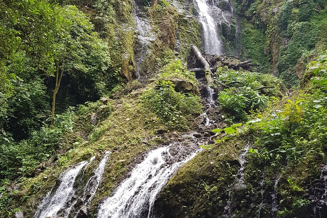 El Tigre Waterfalls Hiking Tour With Lunch and Nature Guide - Tour Highlights