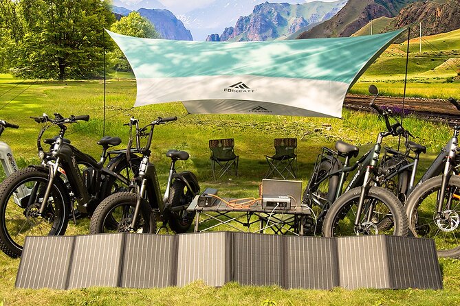 Electric Bike Rentals With Delivery - Inclusions