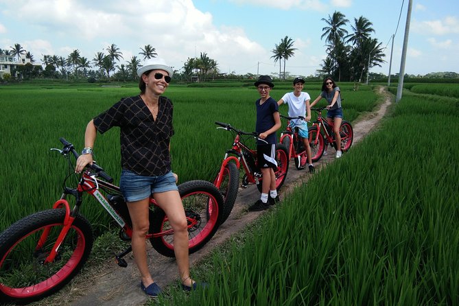 Electric Bike Tour in Ubud - Pricing and Booking