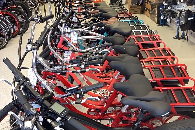 Electric Bikes Rental in Dunedin - Features of Electric Bikes in Dunedin
