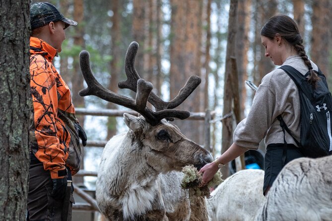 Electric Fatbike Trip to the Reindeer Farm - Trip Inclusions and Meeting Point