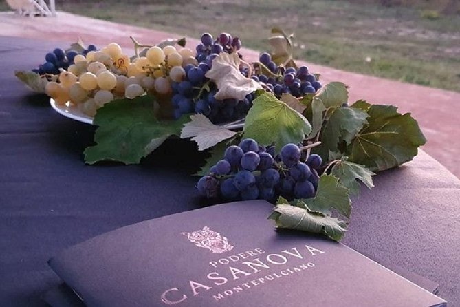 Enjoy a Wine Tasting After a Cycling Excursion in the Magic of Tuscany - Excursion Details