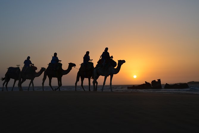 Essaouira: 1/2 Day Camel Ride With Meal. - Camel Ride Experience in Essaouira