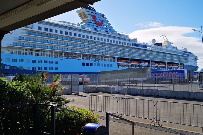 Etna Excursion From Catania Terminal Cruise -Tui -H. AMERICA - COSTA All Cruises - Target Audience and Experience