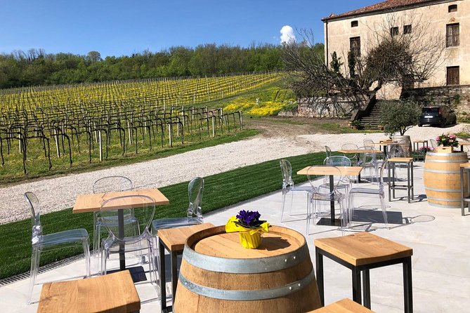 Euganean Hills Wine Tour - Tour Highlights