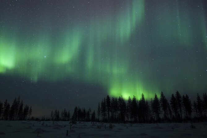 Evening Ski Trek to the Wilderness - Reviews and Ratings
