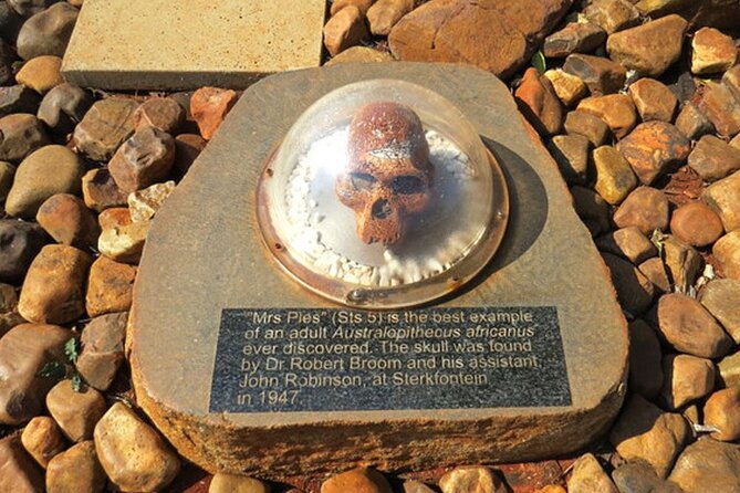 Evolution of Humanity Tour - Prehistoric Origins