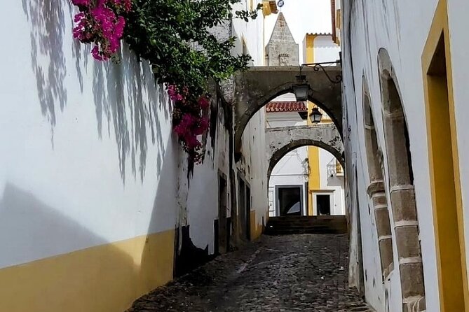Évora: Christian Heritage Private Walking Tour - Expert Tour Guide