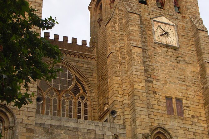 Évora Private Walking Tour With a Professional Guide - Tour Highlights