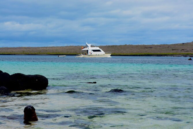 Exciting Full-Day Adventure Expedition at Espanola Island - Itinerary Overview