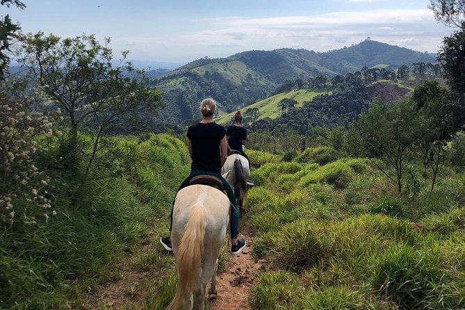 Exclusive Horse Experience With Pic-Nic at Belvedere - Overview and Details