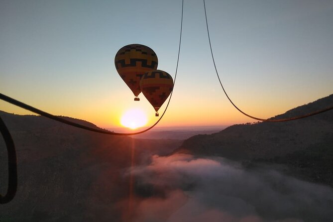 Exclusive Safari Flight - Pricing and Booking