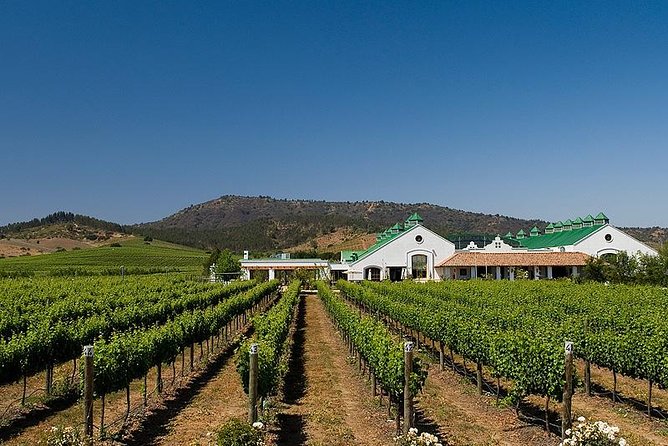 Exclusive Wine Tasting Tour: Casas Del Bosque - Booking and Reservation Details