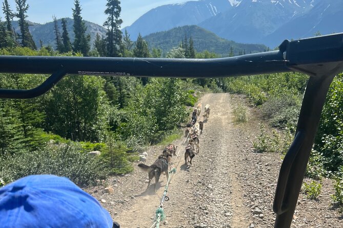 Exclusive Yukon Full-Day Tour With Dog Mushing Adventure - Tour Highlights
