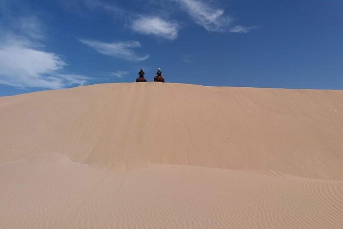 Excursion: 1h/Quad1h/Dromedaries (Minimum 2 People) - Overview of the Excursion