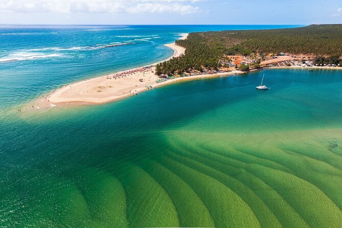 Excursion to Praia Do Gunga With Luck Receptivo Maceió - Excursion Details