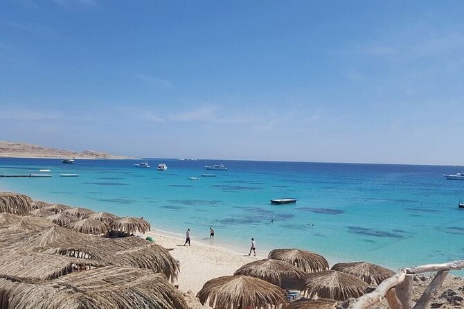 Excursion to Ras Mohammed National Park & White Island by Boat - Transport and Logistics