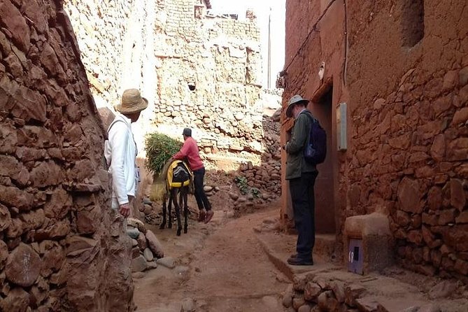 Excursion to the Atlas Mountain From Marrakech - Berber Culture Experience