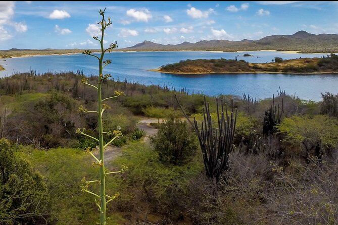 Explore Bonaire: North & South Tour - Meeting and Pickup Information