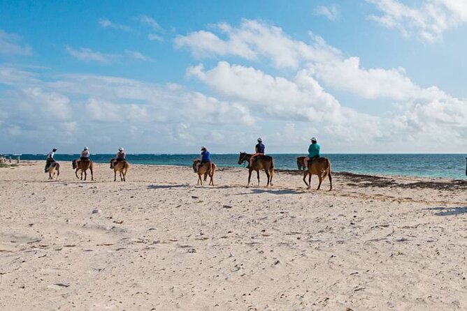 Explore Playa Flamingo Wildlife on Horseback Adventure - Good To Know