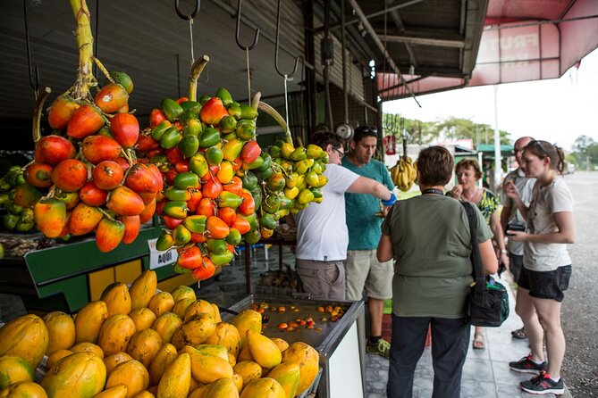 Explore San Jose on Foot: Food Delights and Sights Tour - Good To Know