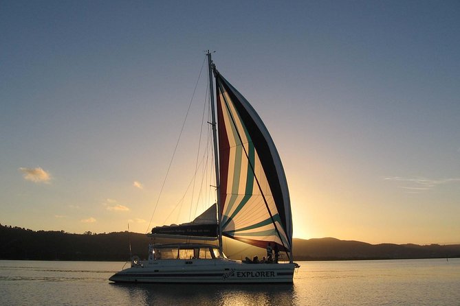 Explore the Garden Route From Port Elizabeth - 4 Days - Itinerary for a 4-Day Adventure