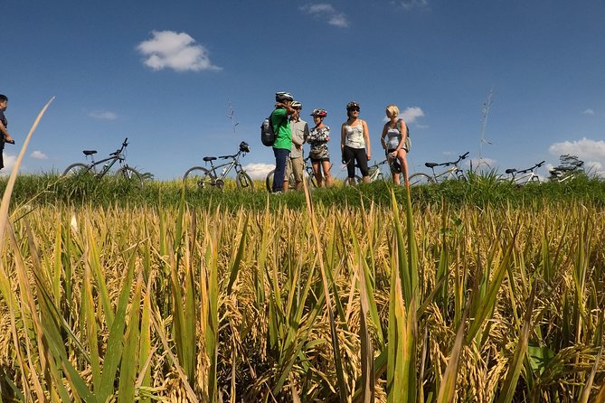 Explore Ubud With Electric Bike - Why Choose an Electric Bike Tour in Ubud?