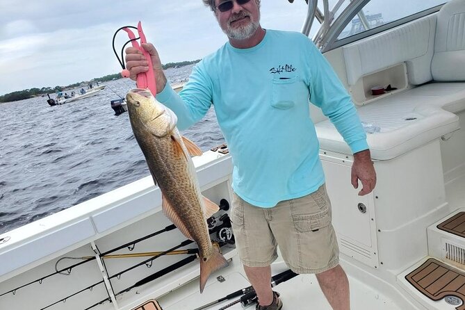 Family Fun: Fishing, Dolphins & Snorkel (Flowing Water Charters) - Pricing and Booking Details