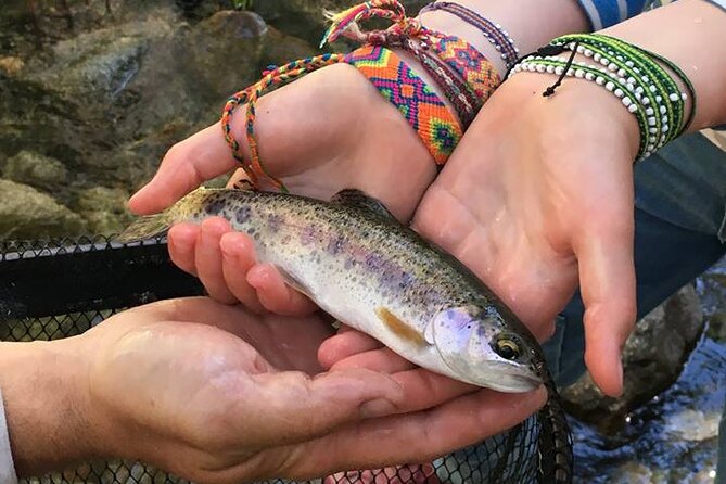 Family Fun Private Half Day Fly Fishing Adventure - Catching Various Trout in Tuolumne and Merced Rivers