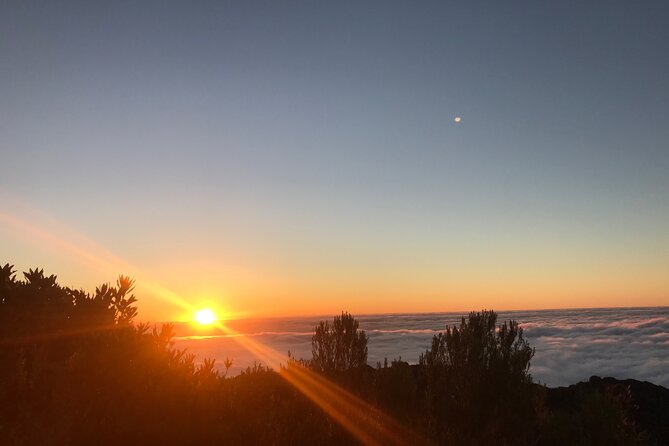 Fanal Private Sunset Hike - Experience Highlights