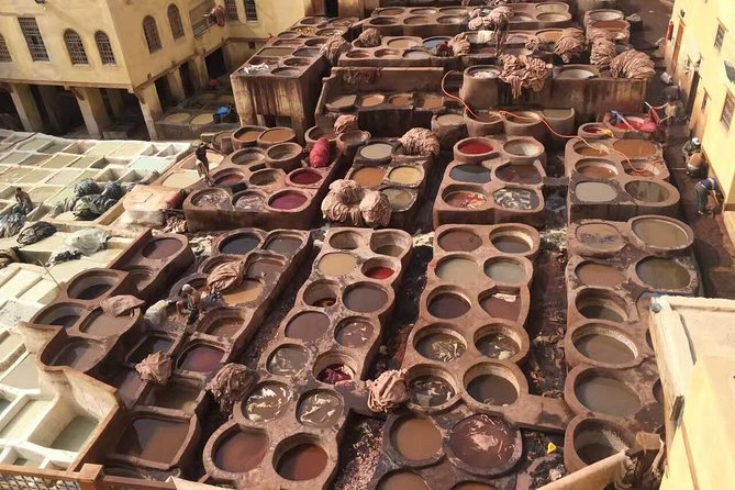 Fantastic Fes Medina Private Guided Walking Tour - Tour Highlights